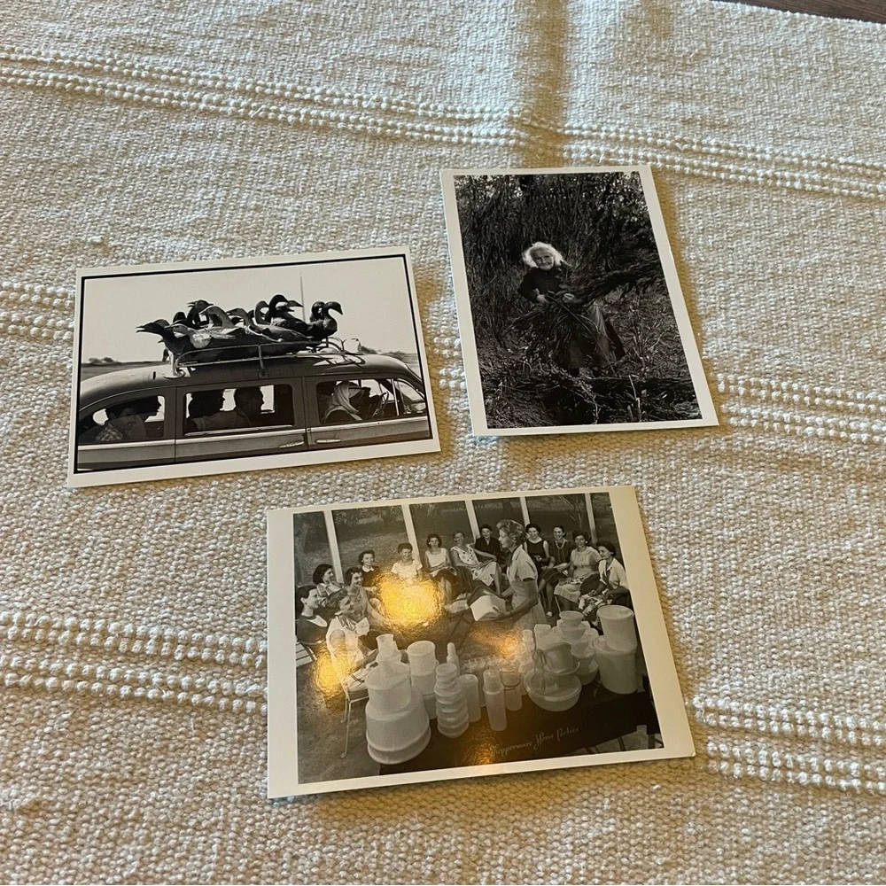 Vintage Black and White Photo Collection ~ Set of 7